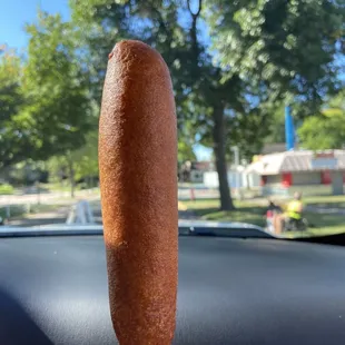 Pronto pup