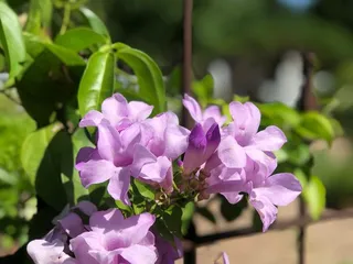 University of Minnesota Landscape Arboretum