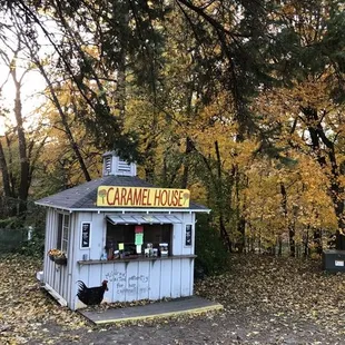 Caramel House
