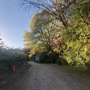a dirt road with trees in the background