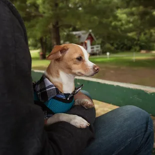 On the hayride during the "Dog Days of Autumn" weekend!