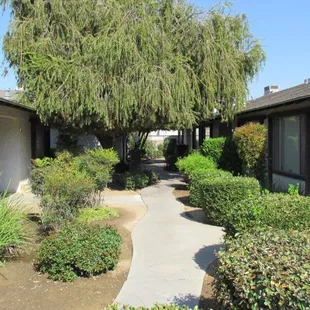 Walkway and landscaping