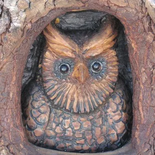 Owl carving