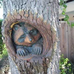 Racoon carving