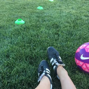 The grass is perfect