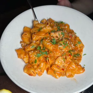 Rigatoni Salsiccia Vodka Pasta
