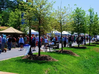 King's Drive Art Walk