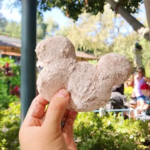 Pumpkin Spiced Beignets