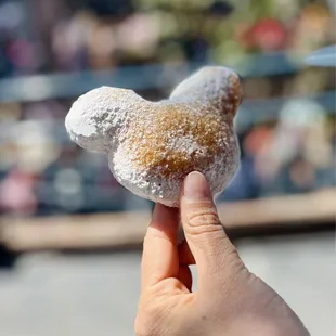 Mickey-shaped Beignets - 6 Pack