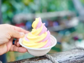 The Tropical Hideaway