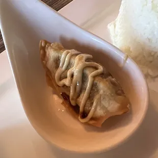 Pot Stickers