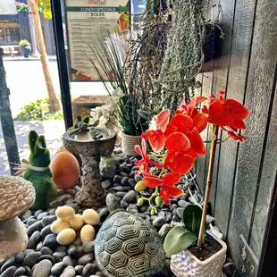 View from corner table looking outside