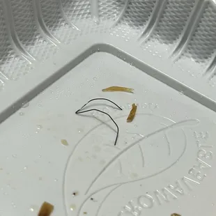 staple?