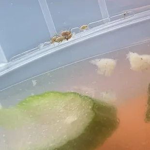 a close up of a bowl of soup