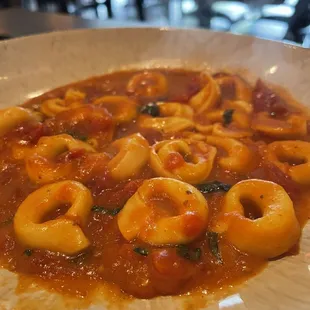 Cheese Tortellini