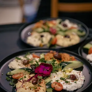 Cold Appetizer Sampler Plates prepared with fresh and authentic ingredients from Greece and Turkey