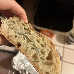 Obviously moldy bread