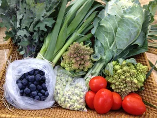 A Simpler Place Farm & Market