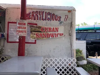 Berrylicious at Morgan Farms