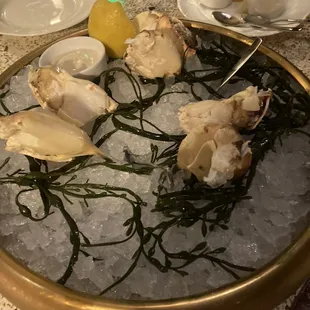 a platter of oysters on ice