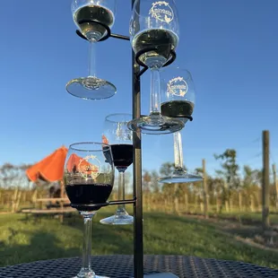 Flight of their 5 wines