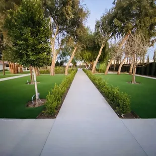 Garden area