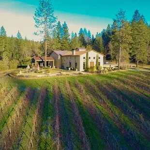 Drone Shot of Tasting Room and Vines
