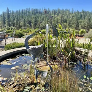 Views from outside patio