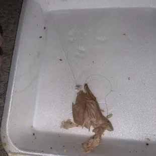 a close up of a piece of food