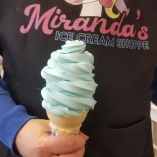 Check with us for Blueberry Icecream availability. Same as in well known theme park.