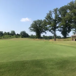 Amazingly large practice green.