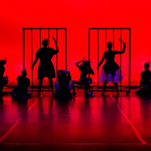 Mirror Image Dance Company