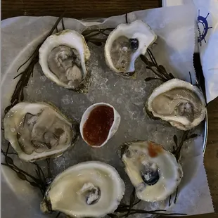 PEI Oysters - fresh!