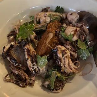 Grilled Octopus