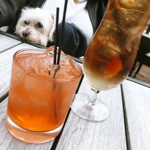 a woman sitting at a table with a drink and a dog