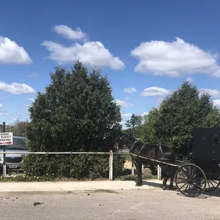 Horse and buggy parking