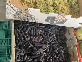 Mediterranean Grocery