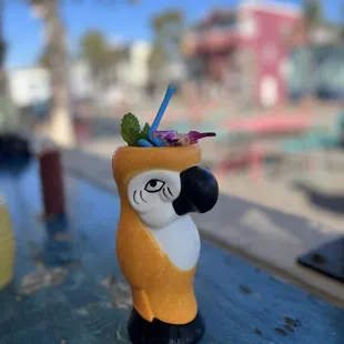 a parrot with a cocktail in its beak