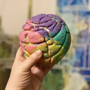 Rainbow Concha