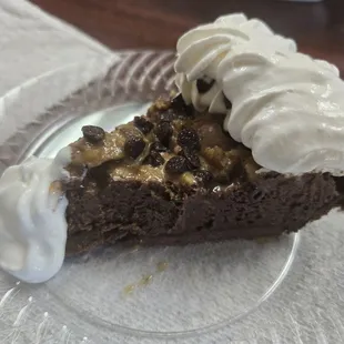 Turtle pie slice