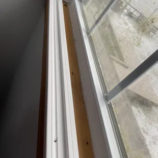 Every window with dead bugs