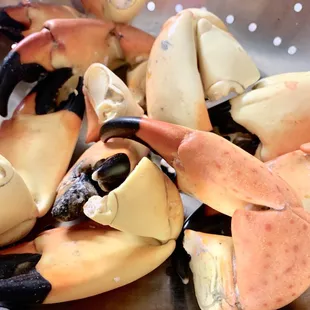 Stone Crab Claws