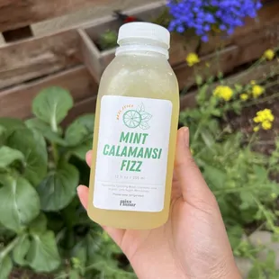 Mint Calamansi Fizz