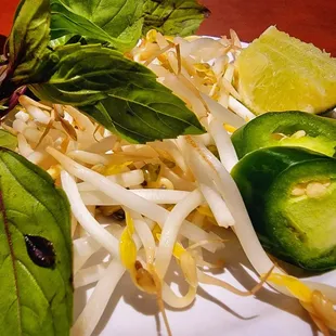 Sprouts, Lime, Basil, &amp; Jalapeno (Pho)