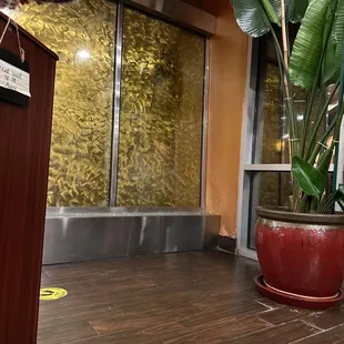 a large potted plant in front of a glass door