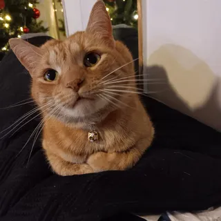 Peaches K.