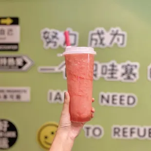 watermelon slush (01/2025)