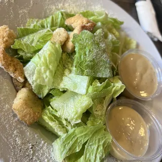 Miss Toyas Chicken Caesar Salad