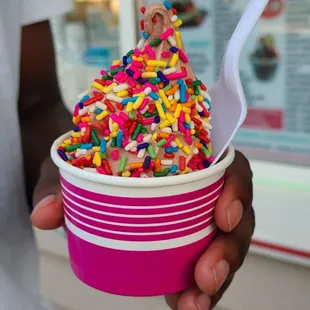 Miss Twist Ice Cream