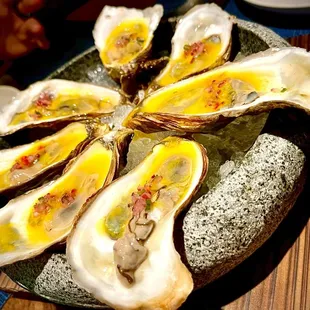 Oysters